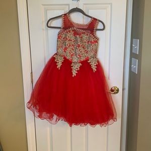 Gorgeous red tulle dress
